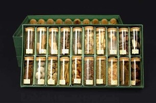 Drogen-Lehrsammlung