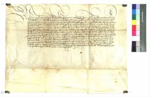 Maximilian I., römischer Kaiser, belehnt Ulrich Burggraf zu Burtenbach mit dem Blutbann zu Burtenbach.
