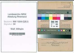 Entnazifizierung Wilhelm Wolf , geb. 25.01.1888 (Banksekretaer)