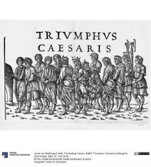 Triumphzug Cäsars, Blatt 8: Triumphus Caesaris (Gefangene und Könige)