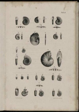 Fig. 1-37