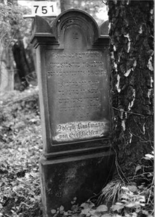 Grabstein 751 (Index: 99802210) Material: Sandstein Zustand: gut Maße HxBxT: 136x52x14 cm Beschreibung: Stele mit eingezogenem verdachtem Rundbogen, Seitenakroterien, profilierter Rand Besonderheit: Endrei,: Grabstein 751