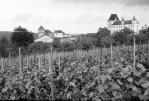 Nennig: Schloss Berg, jetzt Landschulheim