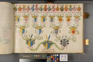 Proband: Plettenberg, Johann Philipp von; Vater: Plettenberg, [Johann Dietrich] von; Mutter: Gaugreben (Gogrebe), [Maria Elisabeth] von: Westfalen, Hzgtm, Ritterschaft