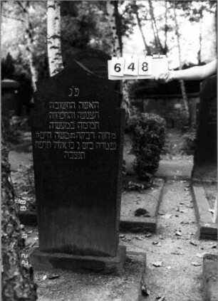 Grabstein 648