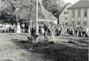Maibaumwerfen in Königswartha : Ort: Rakecy / Königswartha. Maibaumwerfen, Männer beim Ausgraben des Maibaumes