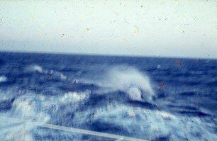 Im Ionischen Meer