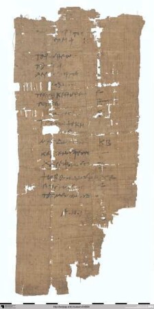 Liste von Eseln