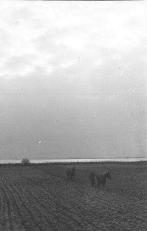 Born: Erbhofbauer am Pflug mit Pferd und Knecht, in Boddenlandschaft