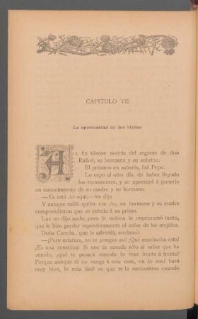 Capítulo VII - La oportunidad de dos visitas