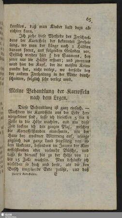 Meine Behandlung der Kartoffeln nach dem Legen