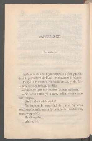 Capítulo XII. - Un misterio.