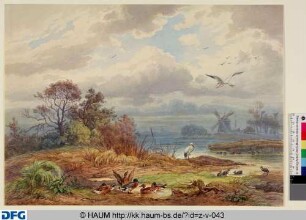 Landschaft mit Störchen und Enten