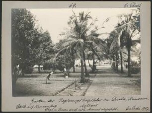 Garten des Reigerungskrankenhauses in Douala, Kamerun : Blick auf einen palmengesäumten Weg in einem Garten