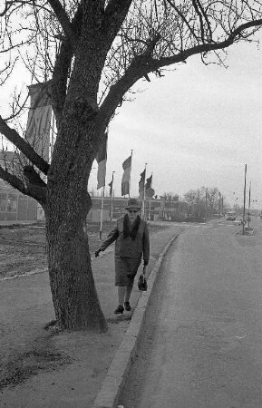 Weinweg beim neuen Großmarkt.