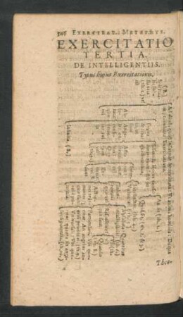 Exercitatio Tertia. De Intelligentiis.