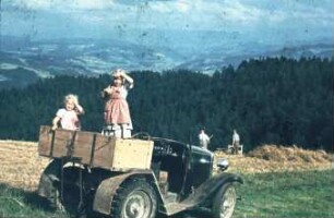 Getreideernte auf Steillage