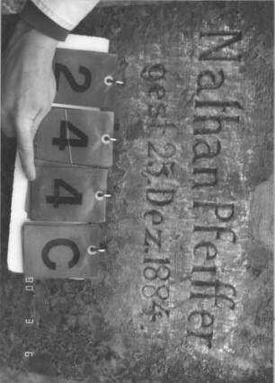 Grabstein 244 (Index: 99608968) Material: Sandstein Zustand: abgeblättert und sehr stark verwittert mit sehr großem Textverlust Maße HxBxT: 122x62x18 cm Beschreibung: Stele, profilierter Sockel, eingezogener Rundbogen mit aufgesetzten Zweigen, Schriftfeld eingetieft Symbolik: Zweige: Grabstein 244C