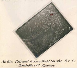 Foto des Geländes am Ostrand des Fosses-Waldes an der Straße von der Chambrettes Ferme nach Azannes (-et-Soumazannes) (Luftbild)