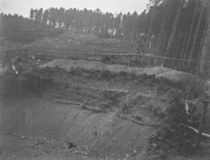 Grube : Blick auf den gesichterten Rand einer Grube, dahinter Nadelweld