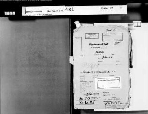 Beklagter: Grundler, Helmut; Beklagter: Schweers, Theodor; Zeuge: Pennings, Josef: Bandenschmuggel