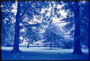Schoelerpark und Sanierung der Heimstätten-Siedlung