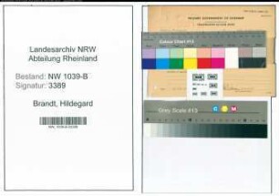 Entnazifizierung Hildegard Brandt , geb. 27.08.1909 (Lehrerin)