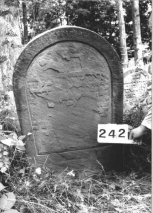 Grabstein 242