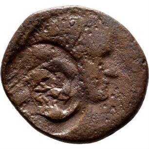 cn coin 29374 (Istros)
