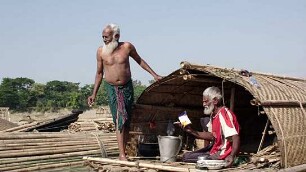 Bamboo Stories