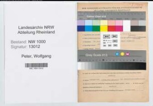 Entnazifizierung Wolfgang Peter, geb. 29.01.1911 (Angestellter)