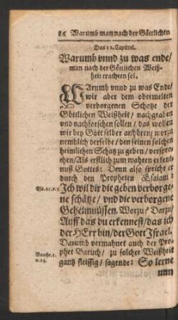 Das 12. Capittel.