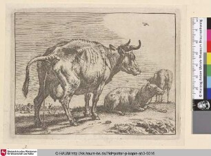 [Urinierende Kuh vor zwei Schafen; The Pissing Cow]
