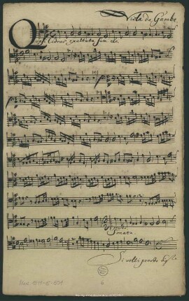 Viola da Gamba