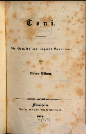Toni : Ein Gemälde aus Ungarns Gegenwart