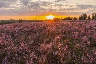 Heimat Natur