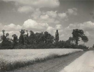 Landschaft bei Hayna