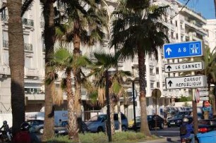 Cannes - Uferstraße Croisette : Uferstraße Croisette in Cannes, aufgenommen 2006