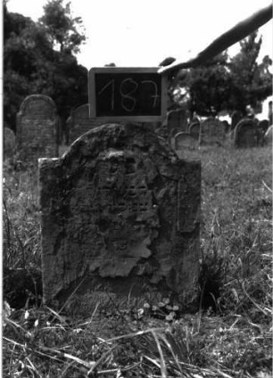 Grabstein 187 (Index: 100103358) Material: Sandstein Zustand: stark verwittert, abgeblättert, weitgehender Textverlust Maße HxBxT: 69x55x6 cm Beschreibung: Stele, eingezogener Rundbogenabschluss, Schriftfeld eingetieft mit Konvexbogenabschluss: Grabstein 187