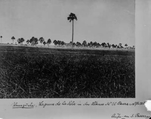 Landschaft : Die Landschaft Venezuelas