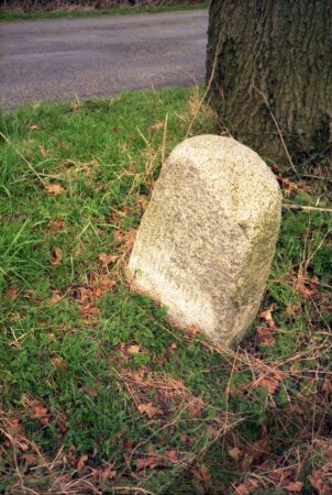 Kreis Herzogtum Lauenburg: Grenzstein: neben Straße