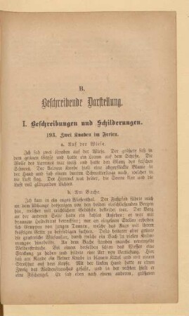 B. Beschreibende Darstellung