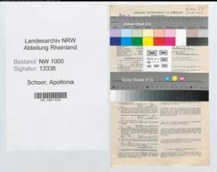 Entnazifizierung Apollonia Schoor, geb. 22.07.1903 (Angest.)