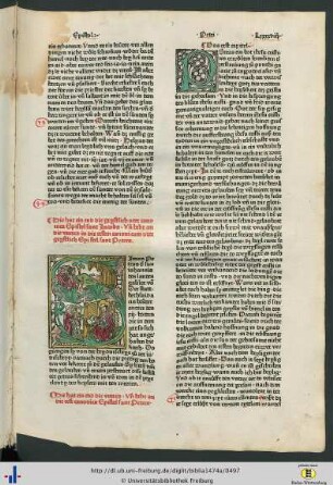 Die erst canonica Epistel sant Peters