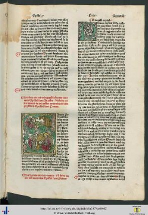 Die erst canonica Epistel sant Peters