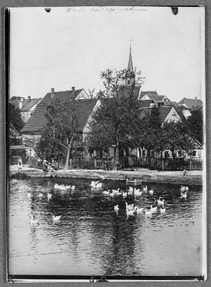 Am Dorfteich in Wyhra