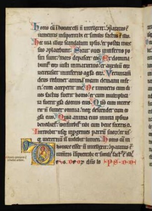 Historisierte Initiale D mit Fabelwesen auf Goldgrund