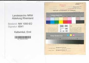 Entnazifizierung Emil Kattwinkel, geb. 15.04.1898 (Fabrikant)