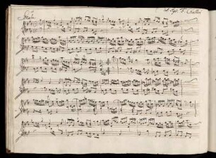 Sonata