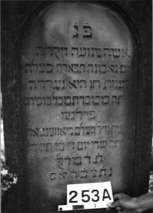 Grabstein 253 (Index: 100085177) Maße HxBxT: 202x87x42 cm Beschreibung: ädikulaart. St. m. Pfeilern, profiliert. Sockel, giebelart. Abschl. m. Verdach.: Grabstein 253A